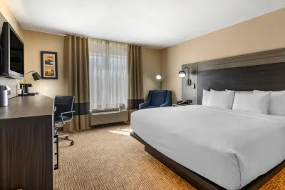 Comfort Inn & Suites North Dallas-Addison