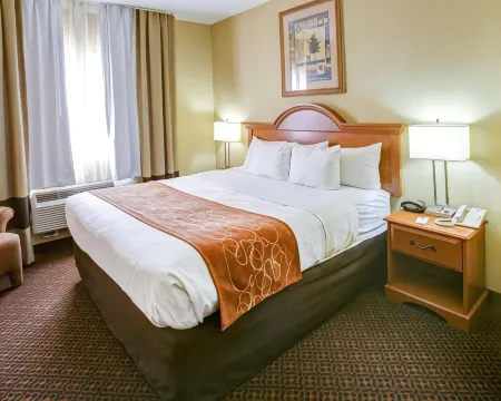 Comfort Suites Отели в г. Бренхем