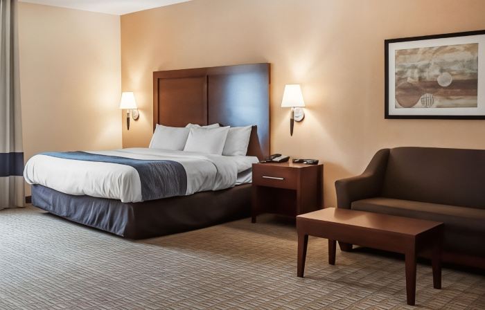 Comfort Inn & Suites Hamburg - Buffalo South