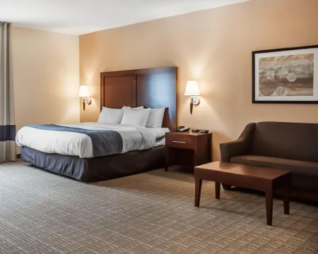 Comfort Inn & Suites Hamburg - Buffalo South