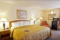 Quality Inn- Chillicothe Hotels in Chillicothe