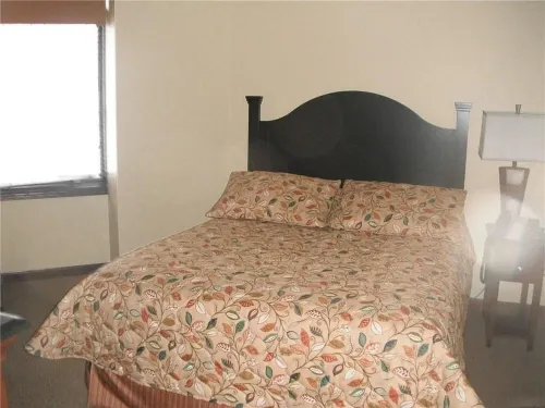 2BR 2 FB Tamarack Club Resort at Holiday Valley Condo Ski In/Out Sleeps 8