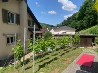 Bed n Breakfast Obermumpf Hôtels à : Rheinfelden
