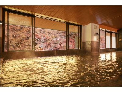 スパ・大浴場 箱根湯本温泉 天成園の写真