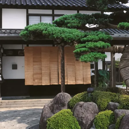 Tendoso