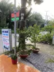 Hotel Thanh Tung Hotels in Thi xa Di An
