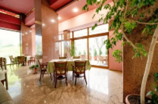 Hotel Rivulus Hotel di Baia Mare