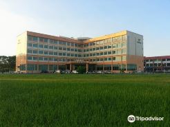 Kingwood Hotel Mukah