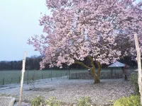 Spacious Studio, in wooded hiking/biking area. Near ASML. โรงแรมใน