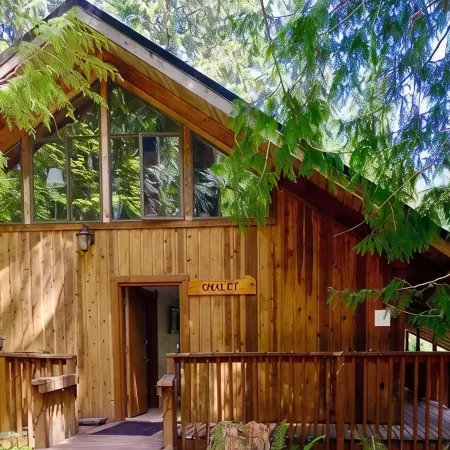 A-Frame Chalet Near Mount Rainier, Sauna, Sleeps 12