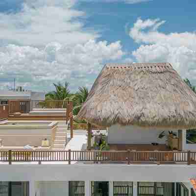 LUXURY BEACHFRONT VILLA Includes 3 Pools, Wifi, Best Snorkeling & Kayaking Bay Hotel Exterior