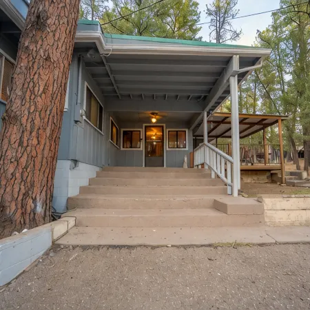 Tall pines cabin with chimney at "Upper Canyon"
