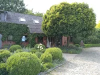 You will find a peaceful idyll and relaxation here in the Apartment-Feldsteingarten. - Homestays