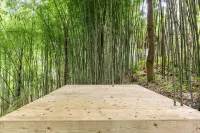 Spacious Mountain Retreat in a Bamboo Grove w/Hot Tub, Games & Fire Pit - 3-Star