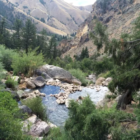 On Salmon River, quiet, private, house, where you can still see the milky way,