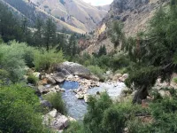 On Salmon River, quiet, private, house, where you can still see the milky way,