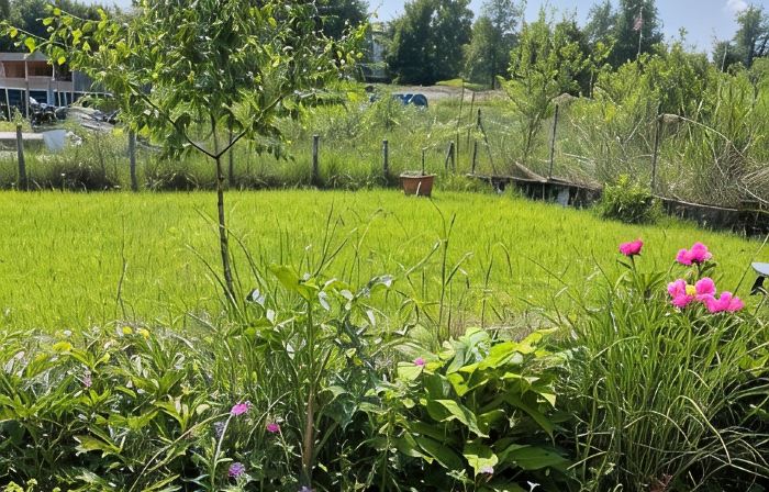 Luxurious Vacation Apartment in the Heart of the Allgäu
