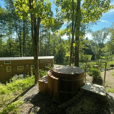 Custom-built Tiny House on forested lot near Quechee