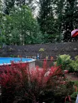A Spacious Mountain Retreat with Stunning Views. 1 Bedroom, 2000Sqft Entire - Villas