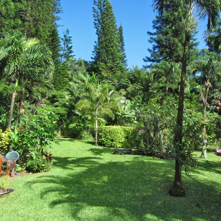 Tiki Hut Cottage -  Lush Tropical Garden, ;Walk to Tunnels Beach TVNCU#5161