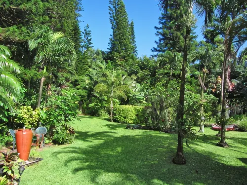 Tiki Hut Cottage -  Lush Tropical Garden, ;Walk to Tunnels Beach TVNCU#5161 - บ้านพักหลังเล็ก