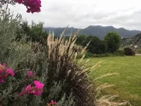 Casa Avó Alice