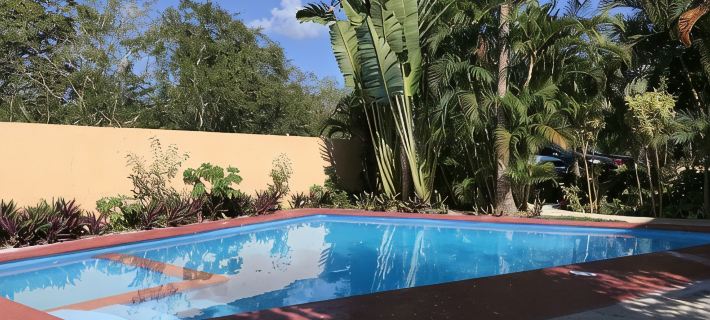 Apartment in Dominicus Bayahibe By the Beach Hotels in Dominicus