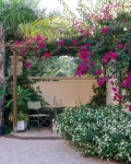 Mamfredas Luxury Resort - Villas
