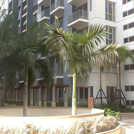 Palm Tree Genlex Condo