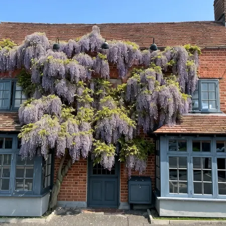 The Broad Leys