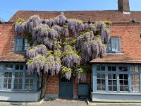 The Broad Leys - parking