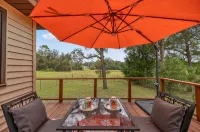 Minutes from Kayaking, Paddleboarding, Natural Springs, and Cedar Key Beach. - Wifi
