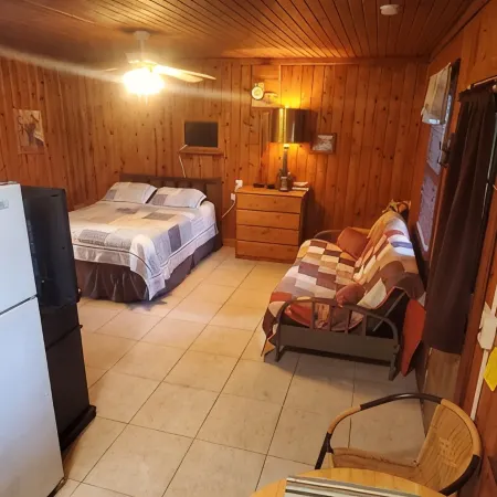 Lake View Cabin on Lake Norfork