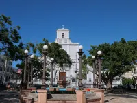 San Felipe Suite 1 Hotels in Arecibo