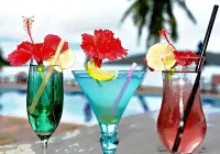 Le Vasseur la Buse Eco Resort - bar