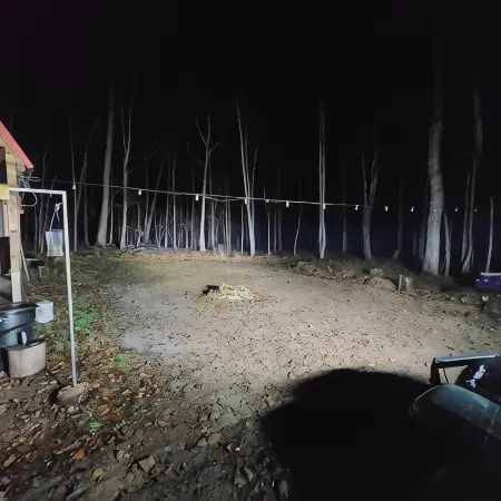 Primitive Cozy Tiny Cabin with Starlink Internet