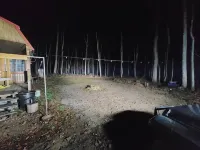 Primitive Cozy Tiny Cabin with Starlink Internet - Wifi