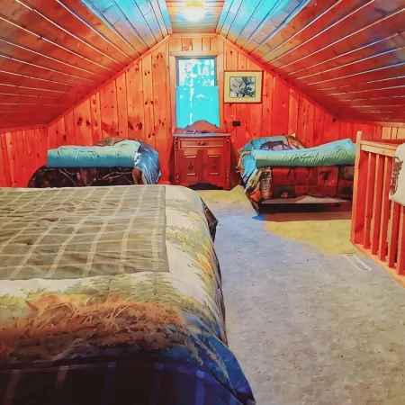 Cabin in the Heart of the Huron National Forest