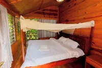Ruwenzori View Guest House - Hot Springs