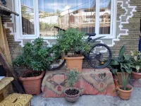 Lea Guest House