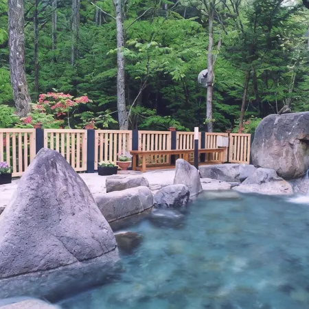 Fudo Onsen Hanabishi
