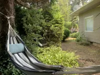 Beach & Redwoods 5mins from Unexpected Oasis - 4-Star