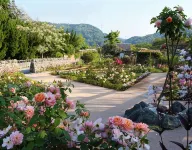 Hikone Castle Resort & Spa - Cheap