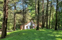 Charming Artist's Retreat - WiFi