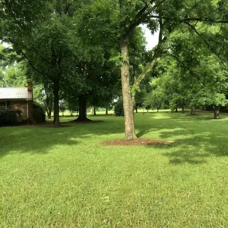 Entire house, Country Setting, Carrollton, near I-20
