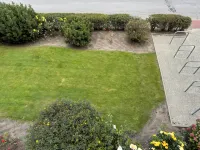 Modern and central, beautiful apartment for 2+ in Büsum - Holiday Apartments