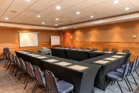 Hotel Puelche - 4-Star