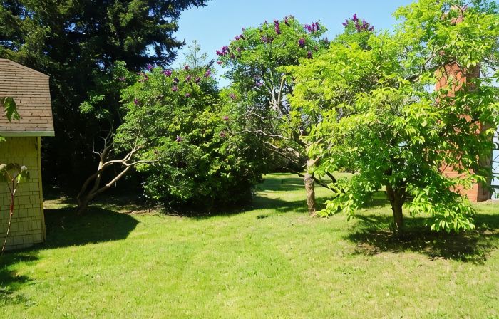 Peaceful and private studio, easy walk to downtown Edmonds