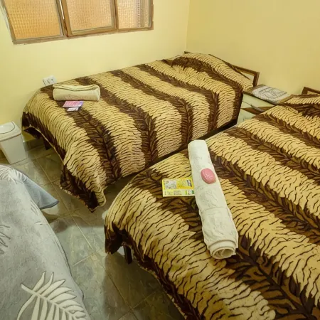 Hostal Terra Sal