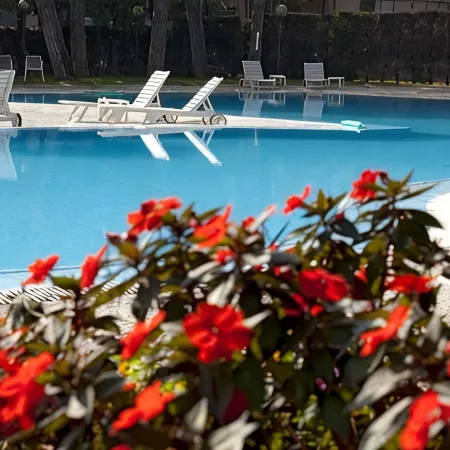 Hotel Bristol Buja